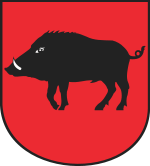 leczna.png